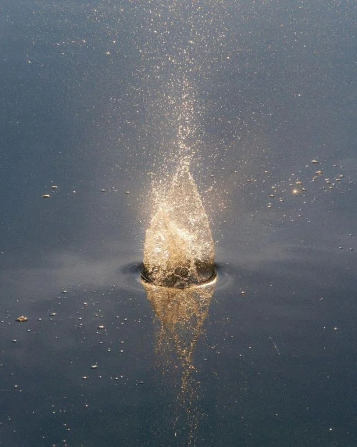 Всё вразнобой