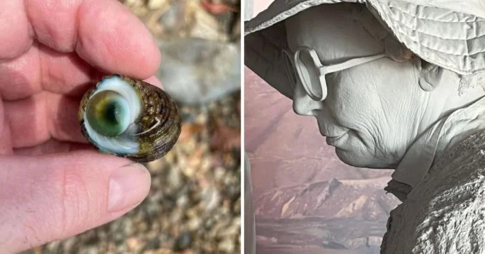 Необычные встречи: 15 раз, когда обычные люди столкнулись с удивительными находками