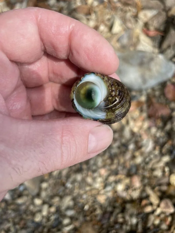 Необычные встречи: 15 раз, когда обычные люди столкнулись с удивительными находками