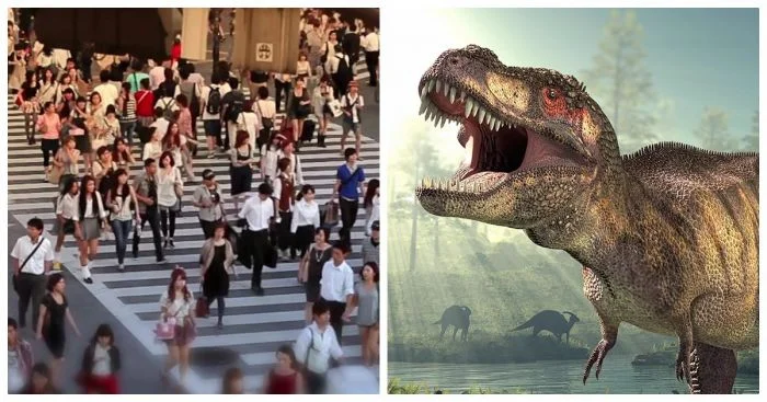 11 фактов, которые раскроют перед вами новые секреты