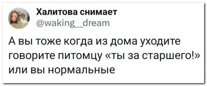 Лучшие скрины из соцсетей