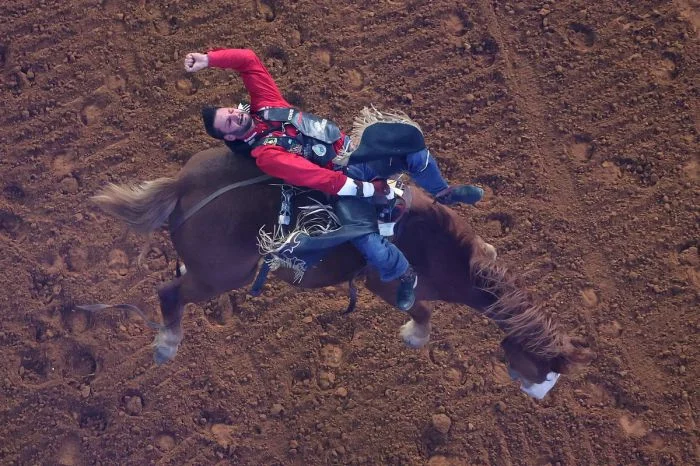 На общую тему