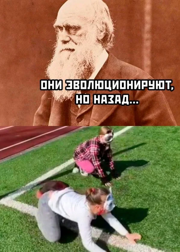 Скрины из соцсетей