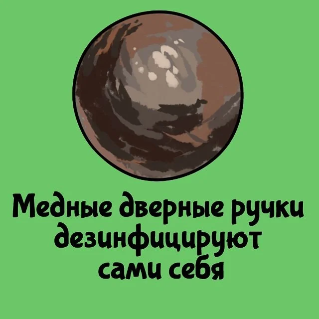 Факты для всех