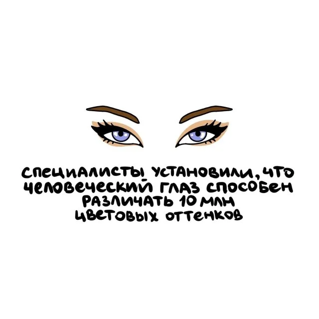 Интересные факты для всех