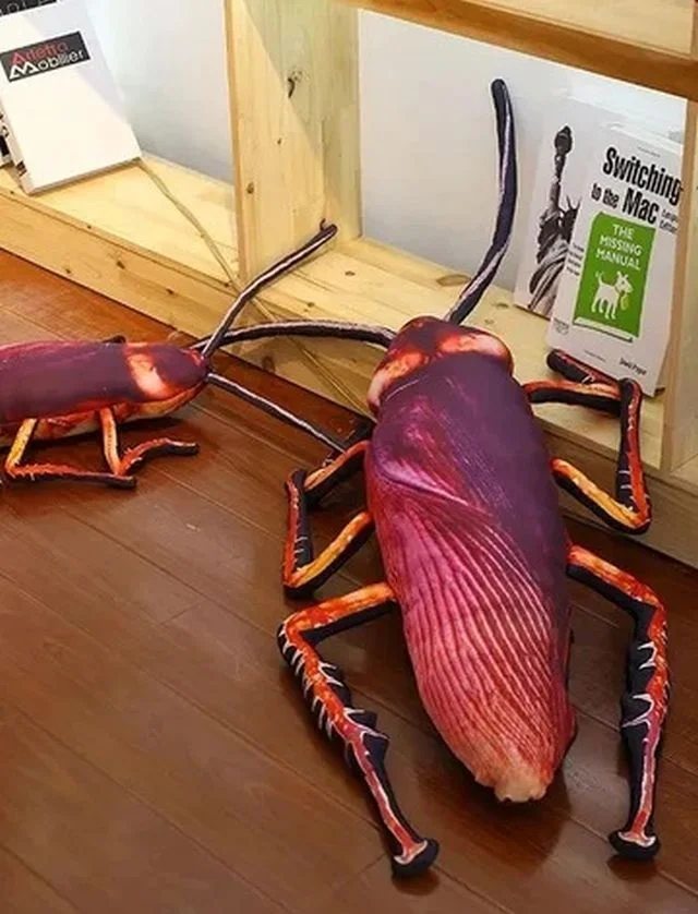 Встречайте новый антистресс-тренд с огромными тараканами