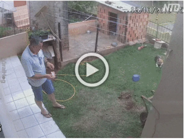 Просто гифки