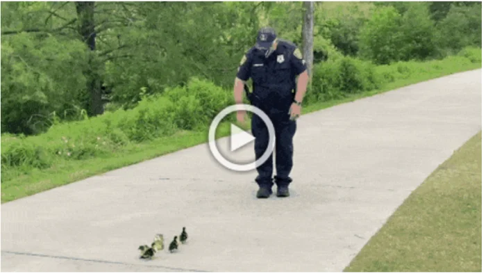 Новые гифки