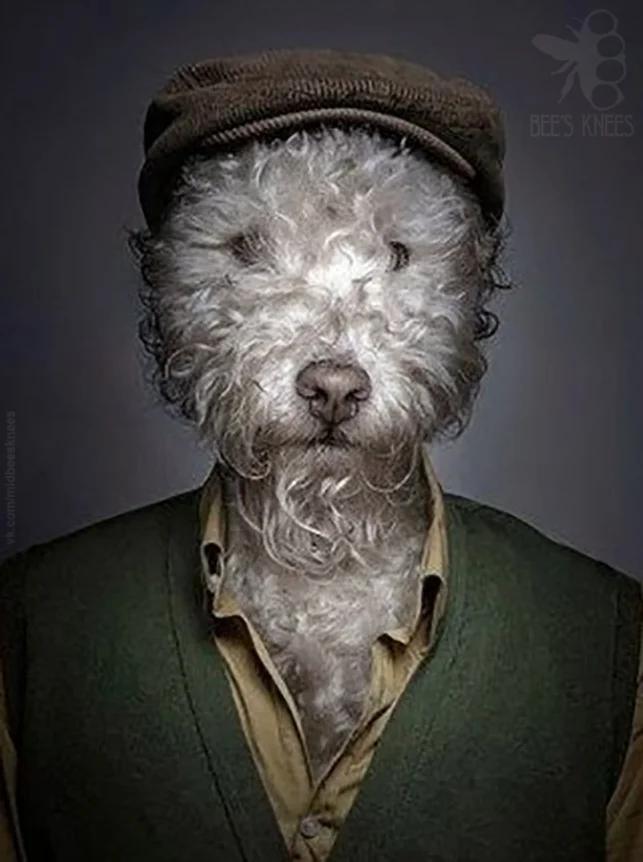 Необычные картинки - ver. 259