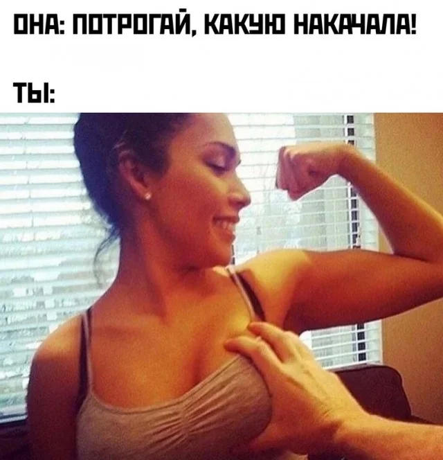 Веселые картынки