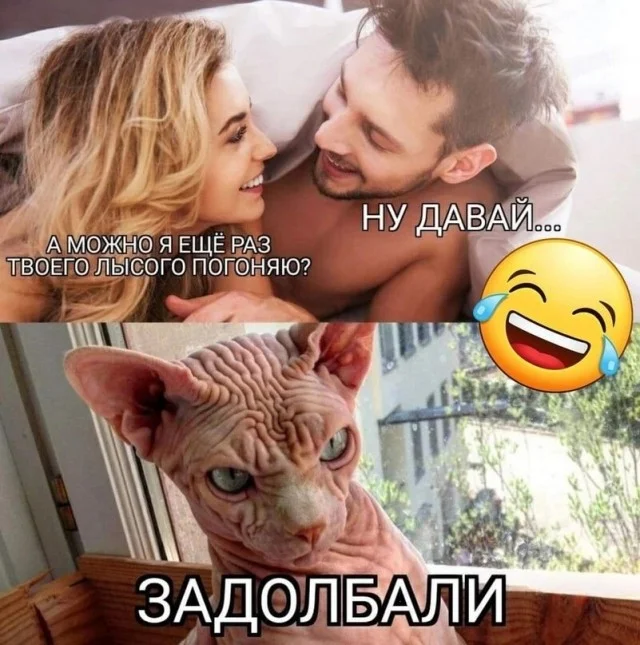 Юмор в картинках и без