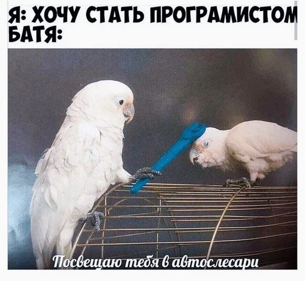 Картинко-месиво