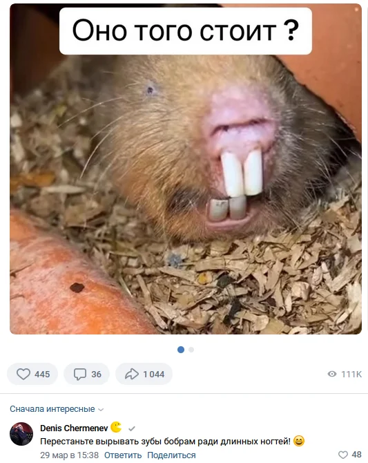 Смешные комментарии из социальных сетей