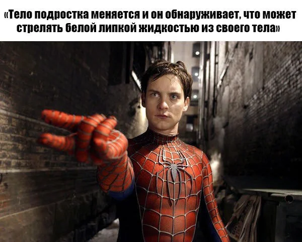 Баяны для всех