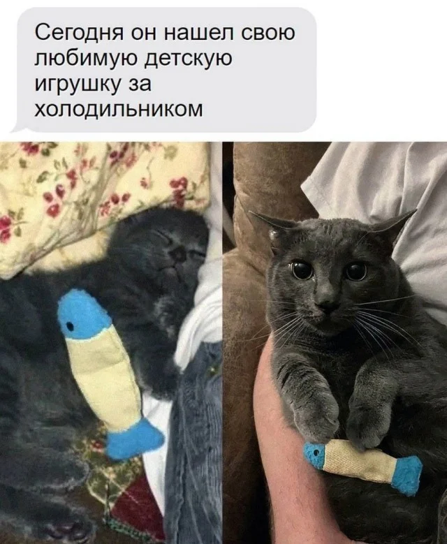 Картинки в ленту