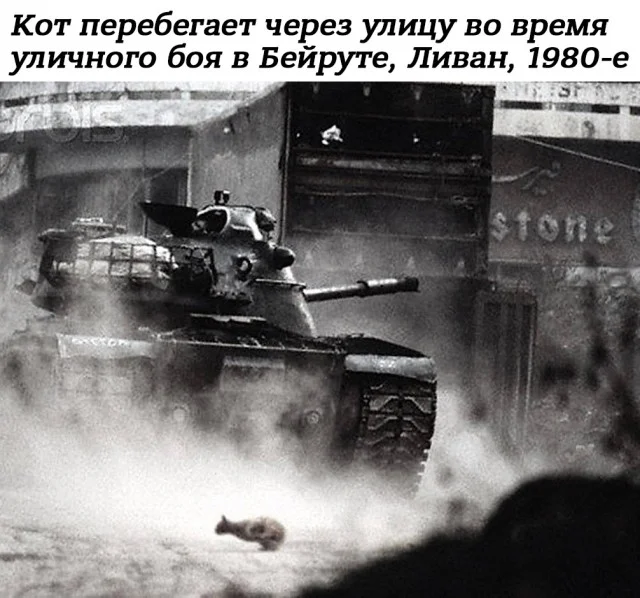 Небольшая подборка истрических фото