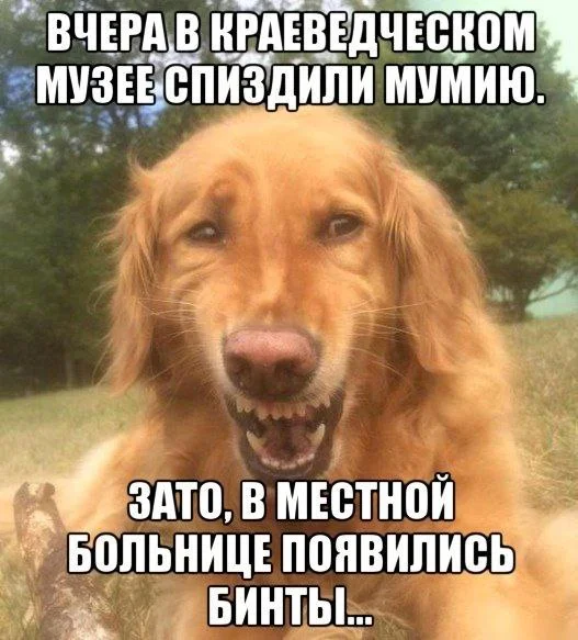 Никакие картинки