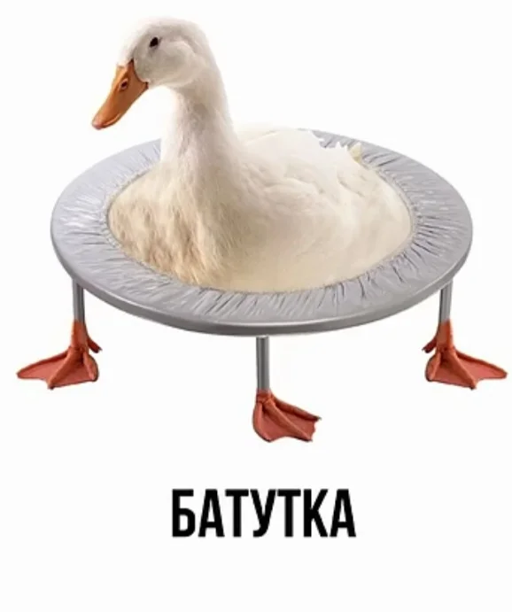 Странные баяны