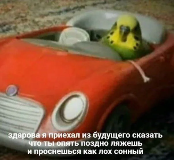 Странные баяны