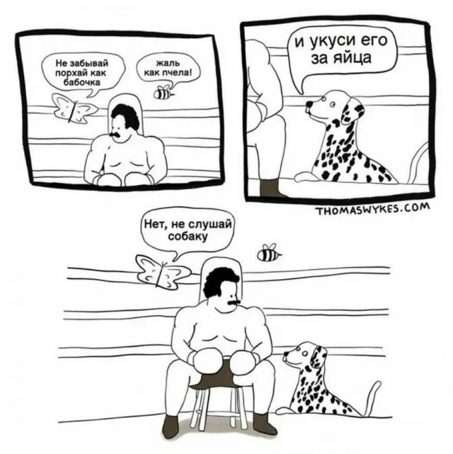 Хорошие баяны