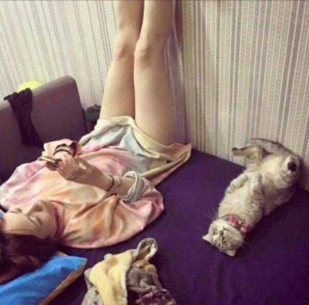 Так картинки!