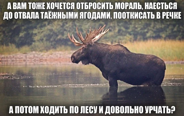 Ну вот так себе