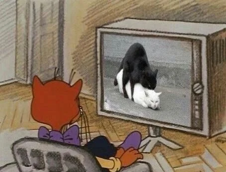 Не очень адекватный юмор