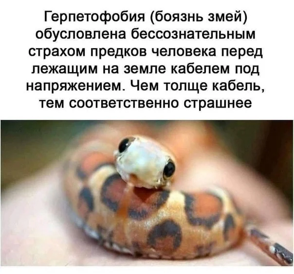 О какие картинки