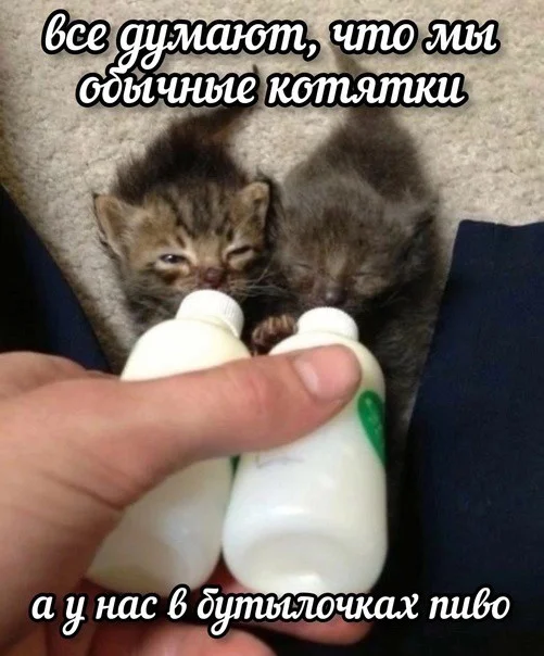 Взрослый юморок