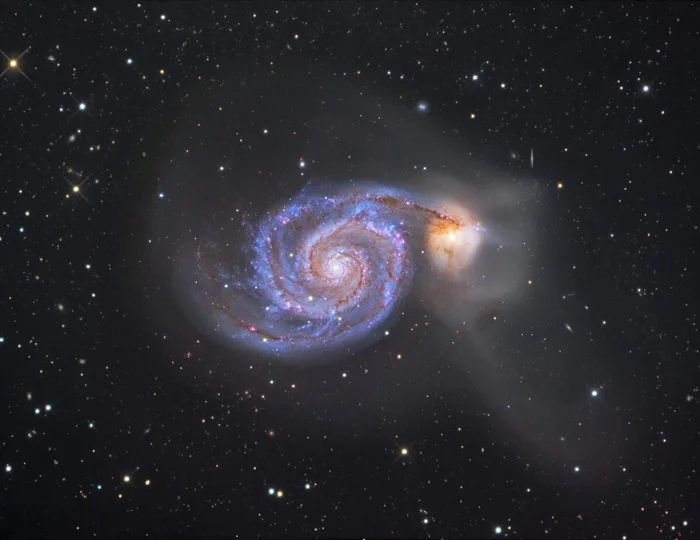 Немного про каннибализм