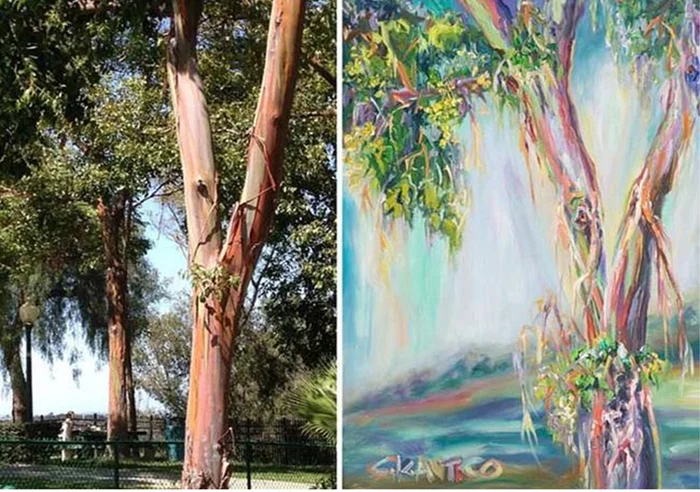 Меняйся телами: если бы у вас была такая возможность, с кем бы вы поменялись на день и почему?