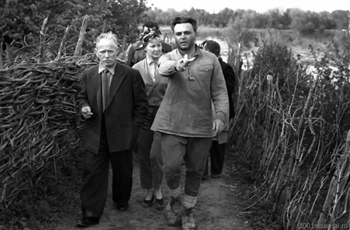 Мудрость и любовь в земле