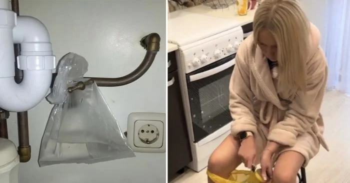 Секреты кухни: захватывающие и неожиданные домашние сюжеты