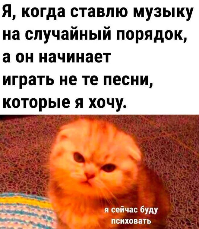 Скрины из соцсетей