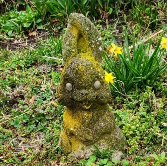 Устрашающая коллекция: жуткие фотографии