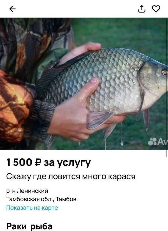 Необычный бизнес: рыбак, который продает места для ловли раков и карася