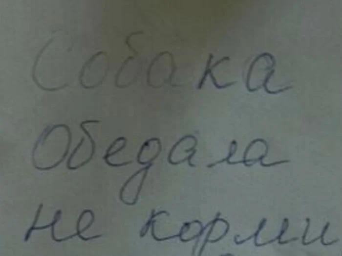 Следы любви и заботы: 18 трогательных записок от родителей