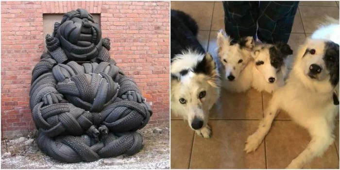 Творческий беспорядок: 30 креативных изобретений, которые ставят в тупик