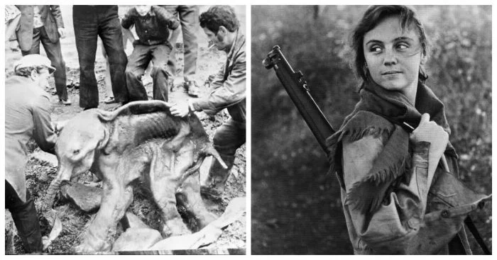 35 исторических снимков для любознательных