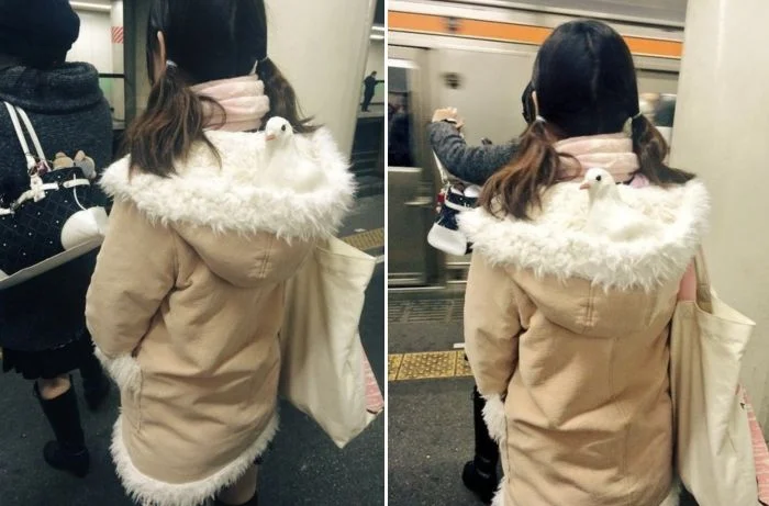 Модницы петербургского метро: культура и уникальные образы