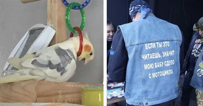 Чернота соцсетей: жесткий юмор в подборке из социальных сетей