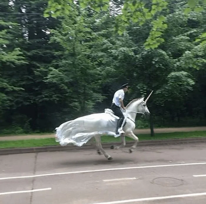 Невероятные моменты: 16 ситуаций, которые словами не передать