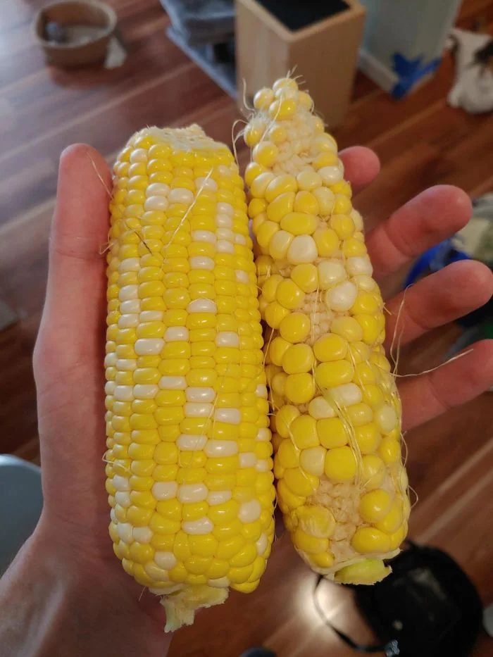 Необычное применение: 11 предметов, найденных у людей в неожиданных ролях