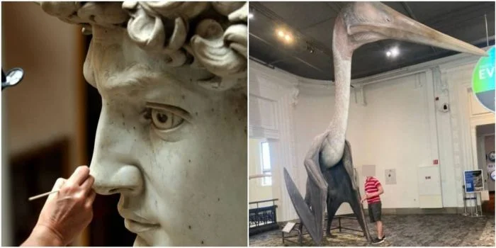 25 интересных фотографий необычных вещей и явлений