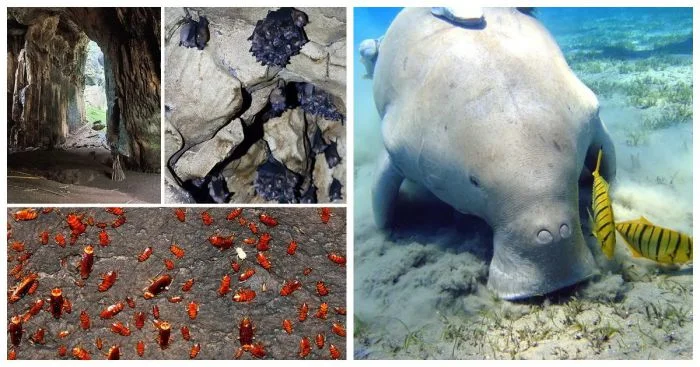 10 удивительных изображений для тех, кто любит узнавать новое