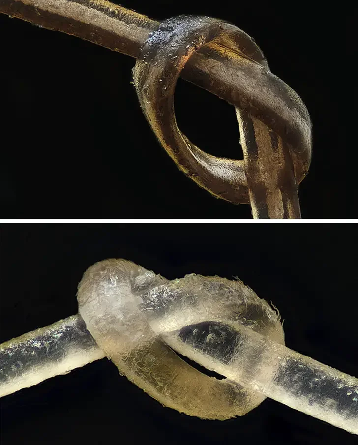 10 удивительных изображений для тех, кто любит узнавать новое