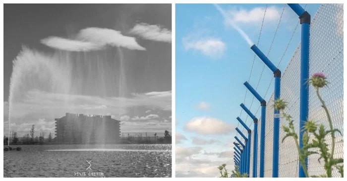 Вовремя подловленные моменты: 23 идеальных кадра