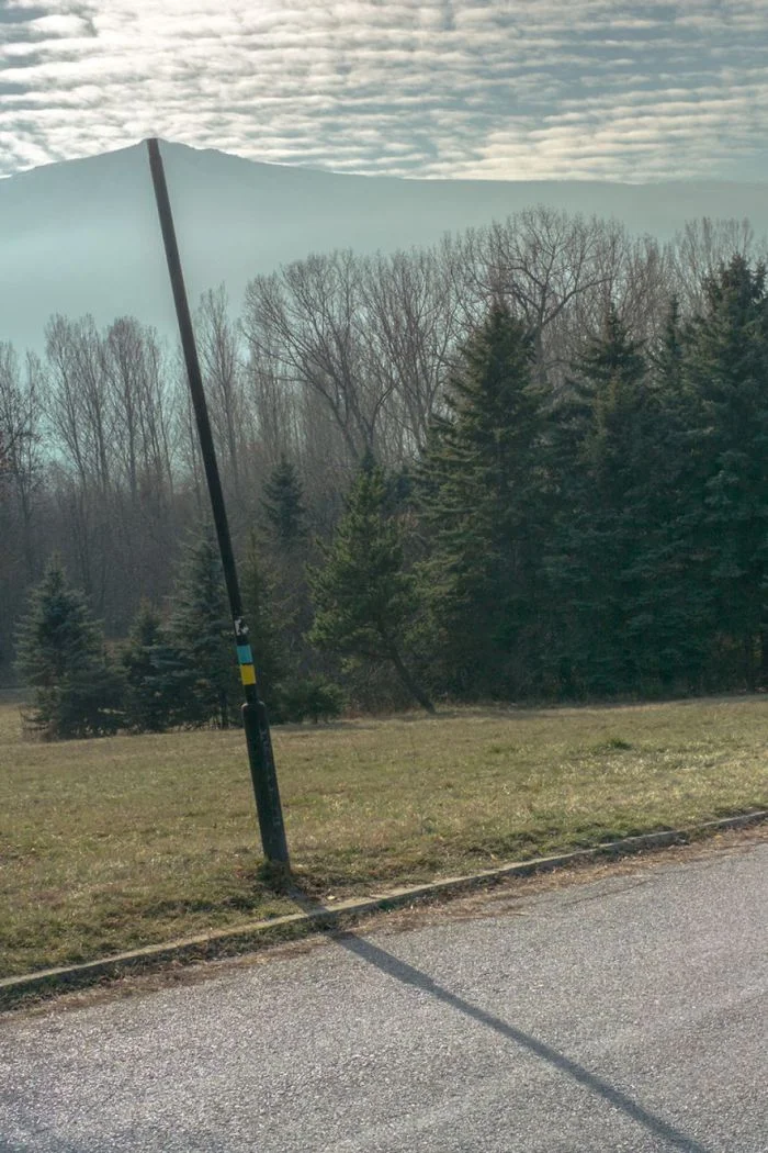 Вовремя подловленные моменты: 23 идеальных кадра