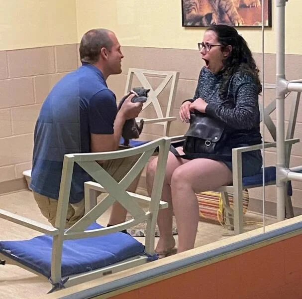 Намешалось