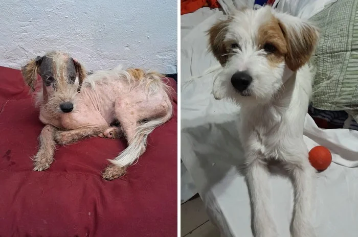 Новая жизнь: 35 эмоциональных снимков животных